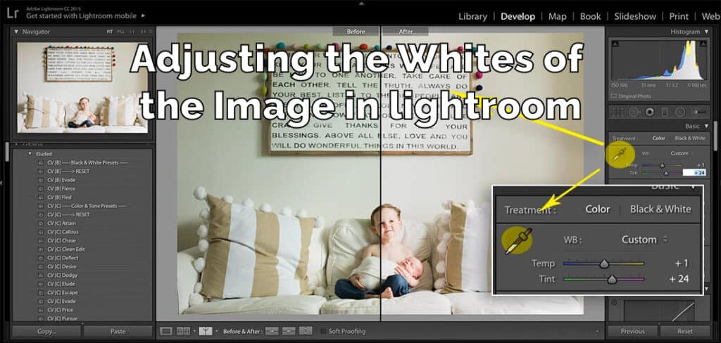 Adjusting the Whites of the image In lightroom
