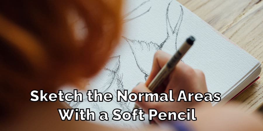 sketch the normal areas with a soft pencil