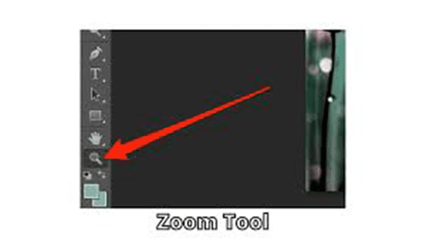 Zoom Tool